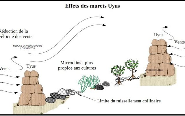 Techniques traditionnelles I. Ralentir, étaler, retenir, faciliter l'infiltration de l'eau