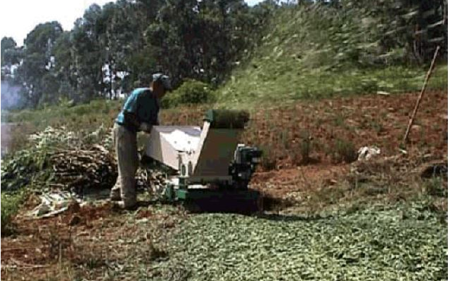 Introduction du bois raméal fragmenté en Afrique