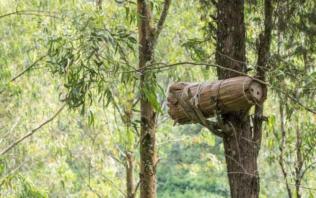Apiculture et ruches rwandaises traditionnelles