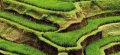 IMG: Principes de culture, récolte et fructification de l'eau en permaculture