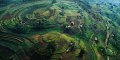 IMG: - 6 - Notes sur l'usage des plantes antidiarrhéiques au Rwanda 