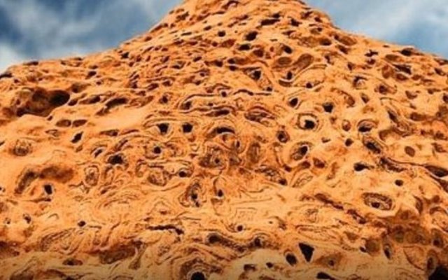 Vivre et travailler avec les termites