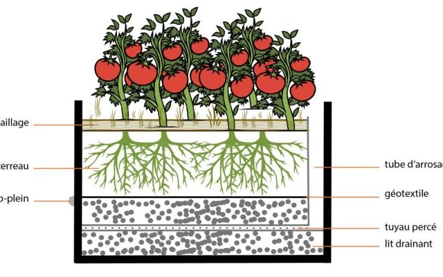 Évaluation de l'efficacité du système wicking bed