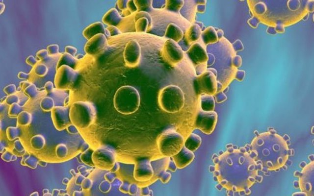 Bibliographie : Potentiel antiviral d'Artemisia annua L. et Artemisia afra Jacq.