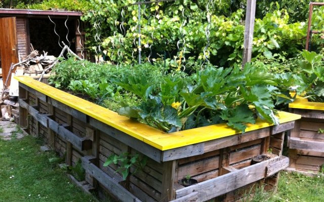 Wicking-bed