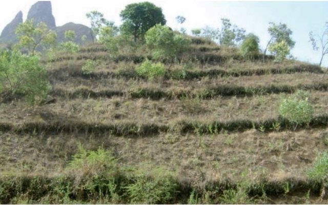 Techniques traditionnelles I. Ralentir, étaler, retenir, faciliter l'infiltration de l'eau