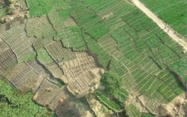  Leçons dogon de récolte de l'eau et de gestion de la fertilité des sols 