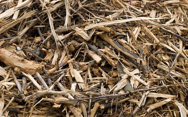 Une voie prometteuse pour aggrader les sols africains ?