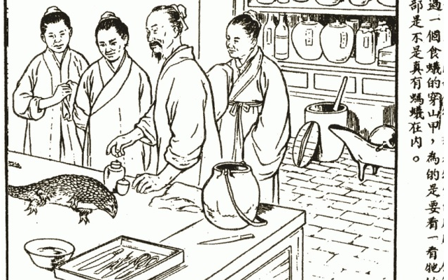 Médecine chinoise traditionnelle, traitement de la malaria et Artemisia