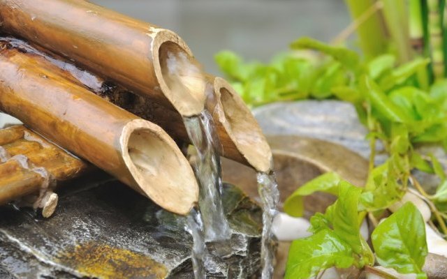  Cultiver l'eau pour restaurer les sols et le climat