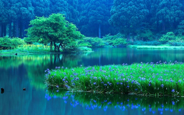 Cultiver l'eau