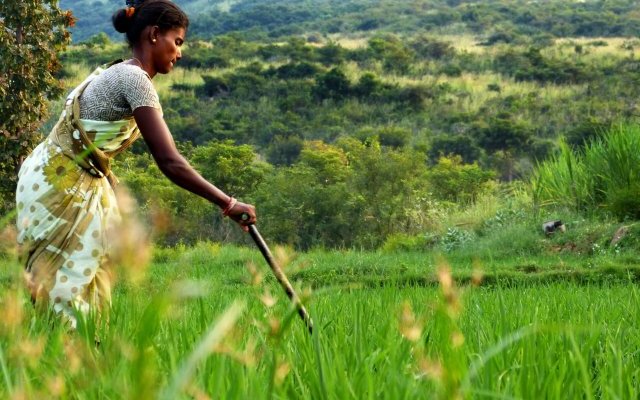 Expérience indienne d'autonomisation des paysans en intrants
