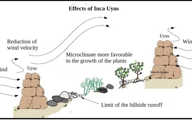 Techniques traditionnelles I. Ralentir, étaler, retenir, faciliter l'infiltration de l'eau