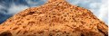 IMG: Vivre et travailler avec les termites