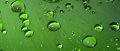 IMG: Techniques traditionnelles I. Ralentir, étaler, retenir, faciliter l'infiltration de l'eau