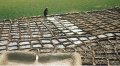 IMG: Techniques dogons de récolte de l'eau et de gestion de la fertilité des sols