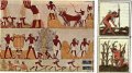 IMG: Pratiques agricoles de l'ancien et du nouveau monde