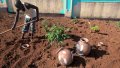IMG: Irriguer avec des artefacts en argile cuite