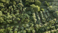 IMG: Bibliothèque et vidéothèque d'agriculture syntropique
