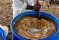 IMG: De la reconquête des savoirs de l'autonomie par les paysans indiens