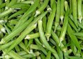 IMG: Abelmoschus esculentus