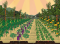 IMG: L'Agriculture Syntropique en bande dessinée