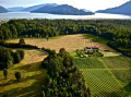 IMG: Nutrition, santé des plantes et agriculture régénératrice selon John Kempf. 