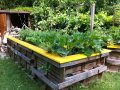 IMG: Wicking-bed